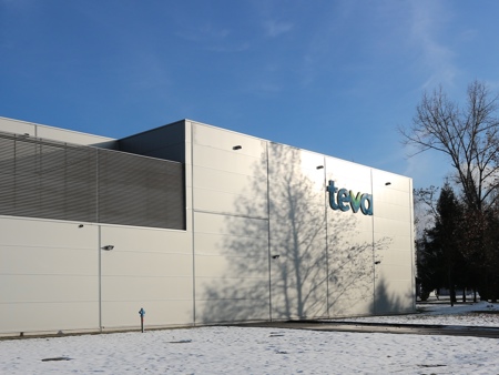 Troyan plant